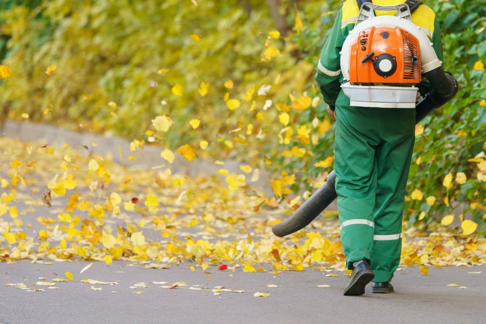 Commercial backpack vacuums