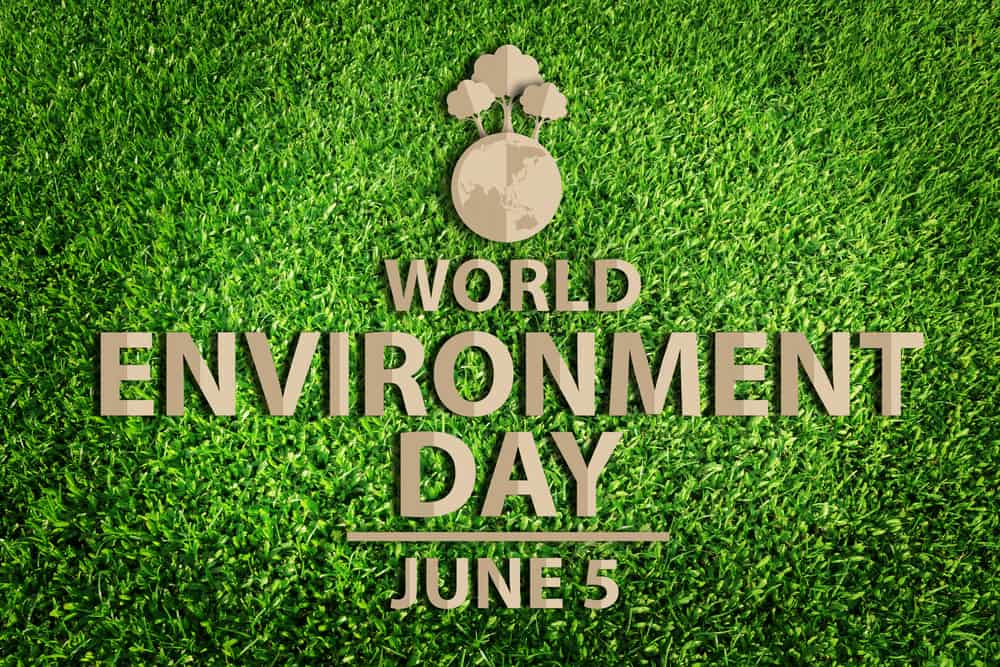 Eco-Friendly Business: Clean and Green Tips for World Environment Day ...