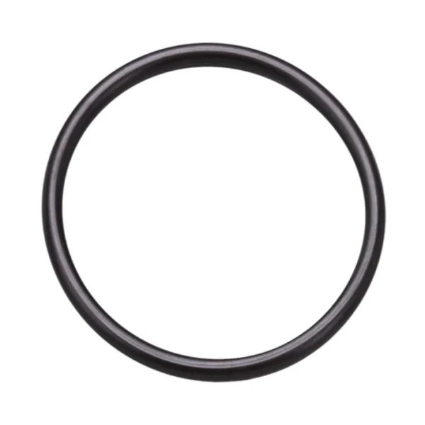 PWP O-ring for DI housing 1