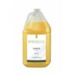 BR100 Hair And Body Shampoo 3.78L